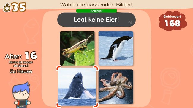 Das Bild zeigt eine Szene aus einem Quizspiel, bei dem der Spieler aufgefordert wird, das Bild auszuwählen, das nicht zu den anderen passt. Der Hinweistext lautet: "Legt keine Eier!" Es gibt vier Bilder zur Auswahl: Ein Heuschrecke auf einem grünen Blatt (oben links). Ein Pinguin auf Schnee (oben rechts). Ein Wal, der aus dem Wasser springt (unten links). Ein Oktopus im Wasser (unten rechts, hervorgehoben). Auf der linken Seite des Bildschirms sind zusätzliche Informationen zum Spieler zu sehen: Alter: 16, "Nichts ist besser als Essen!", und "Zu Hause". Oben in der Mitte steht der Schwierigkeitsgrad "Anfänger". Oben rechts wird der "Gehirnwert" des Spielers mit 168 angegeben.