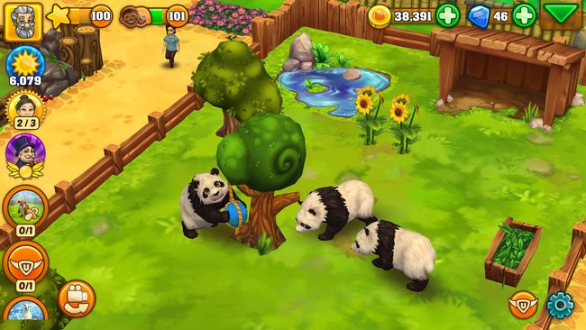 Pandas tollen in einem Gehege in Zoo 2: Animal Park herum.